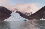 Argentina - glaciar upsala - 